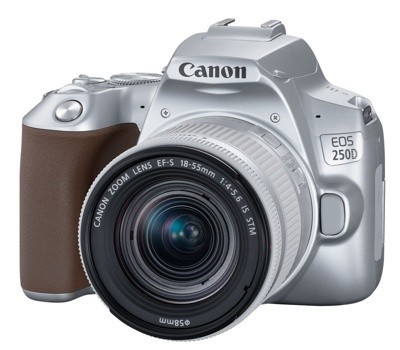 Фотоаппарат Canon EOS 250D Kit 18-55mm IS STM (серебристый)